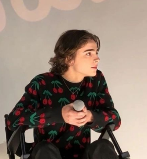 Timothée Chalamet Black Cherry Sweater