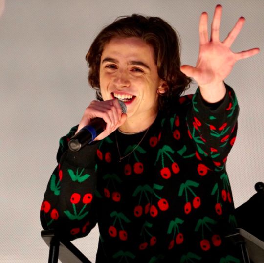 Timothée Chalamet Black Cherry Sweater