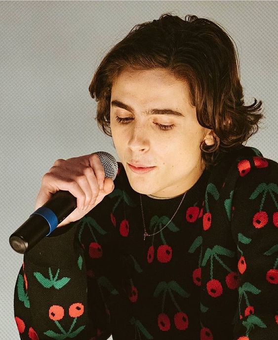 Timothée Chalamet Black Cherry Sweater