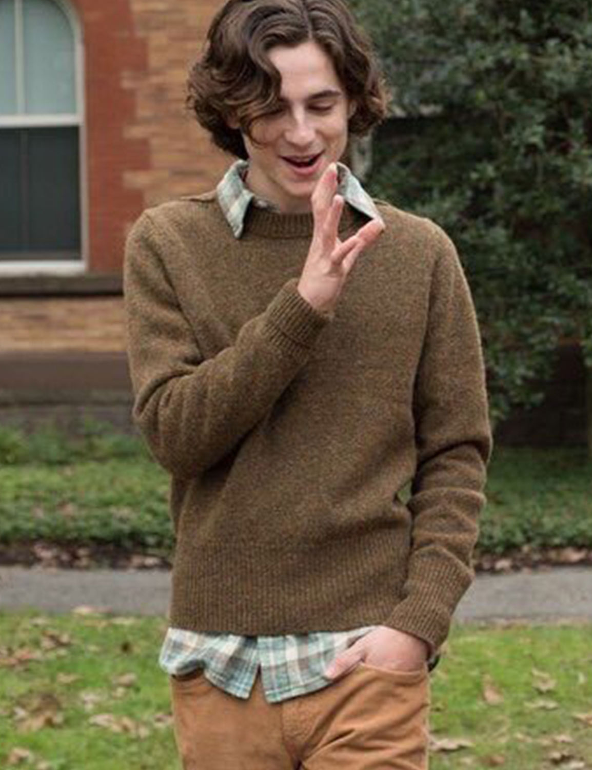 Timothée Chalamet Brown Sweater