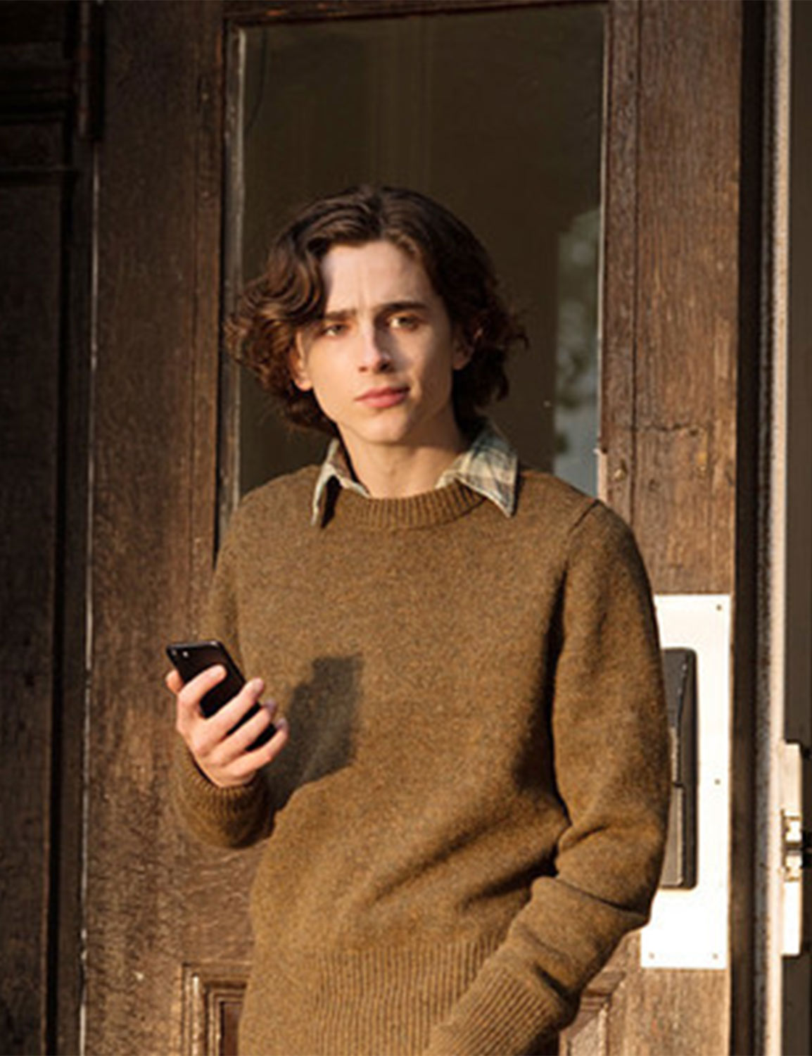 Timothée Chalamet Brown Sweater