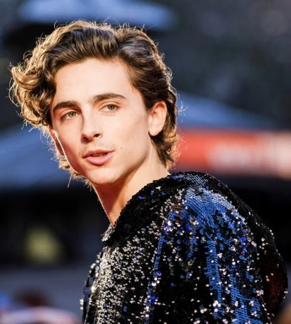 Timothée Chalamet Red Carpet Blue Sequined Hoodie