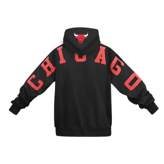 NBA Chicago Bulls Wingspan Hoodie