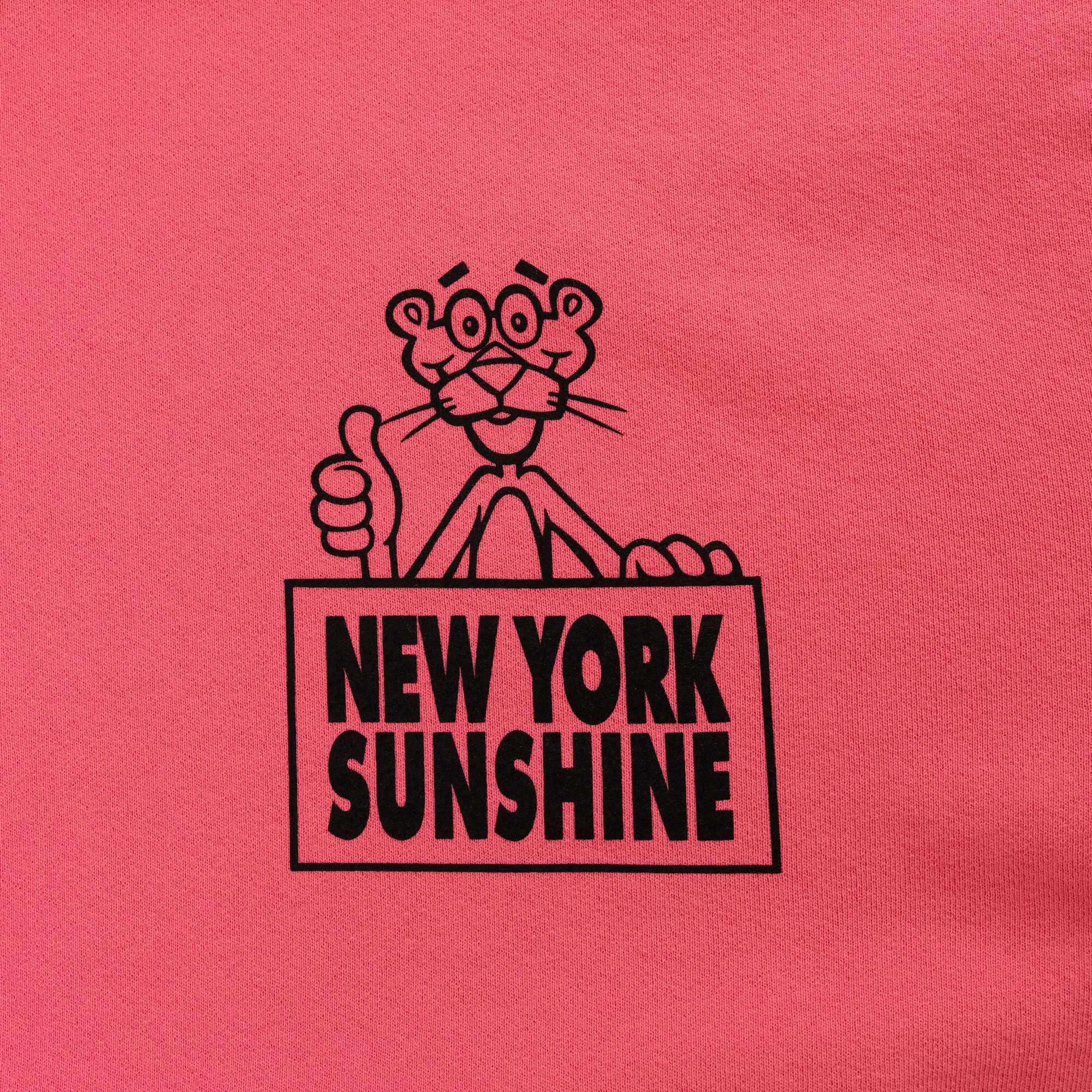 Hoodie_Pink-3_2000x_25597a06-d441-43c1-85d3-f3981559b3b7