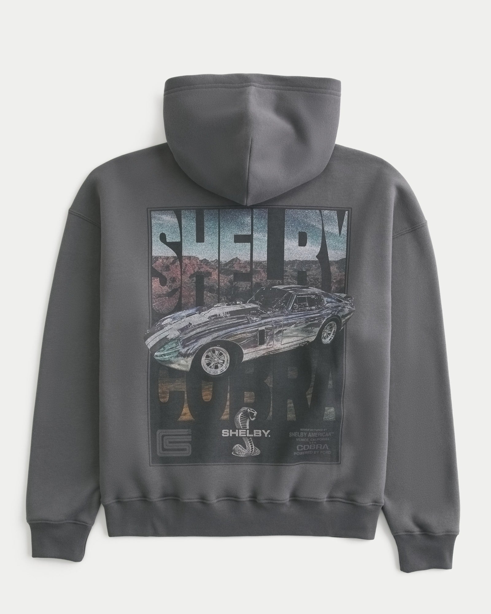 Boxy Dodge Charger Graphic Hoodie