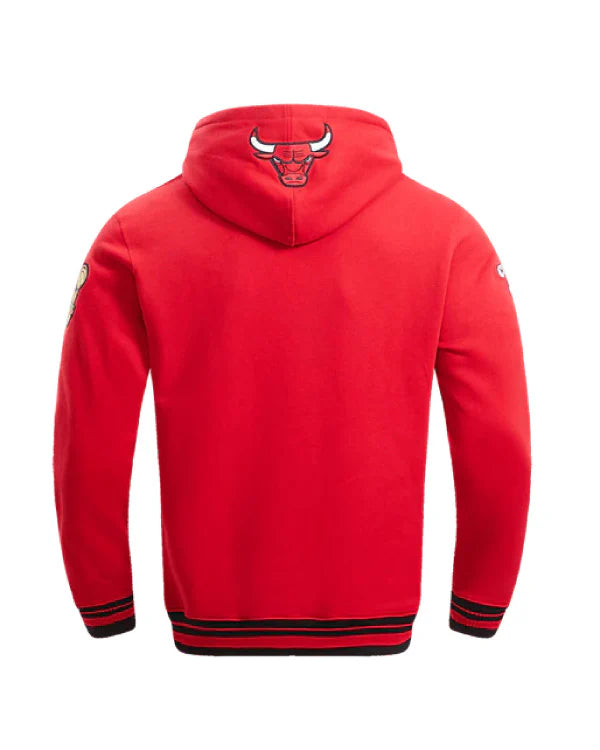 NBA Chicago Bulls Retro Classic Men's Po Hoodie