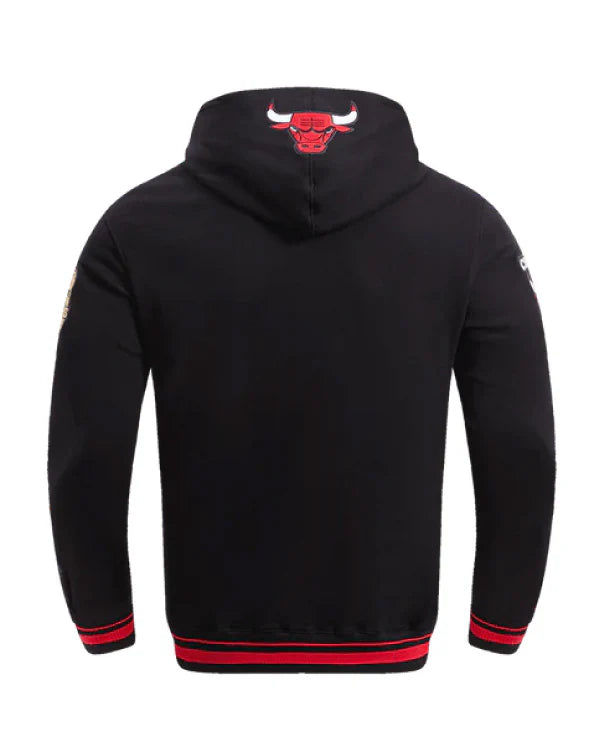 NBA Chicago Bulls Retro Classic Men's Po Hoodie