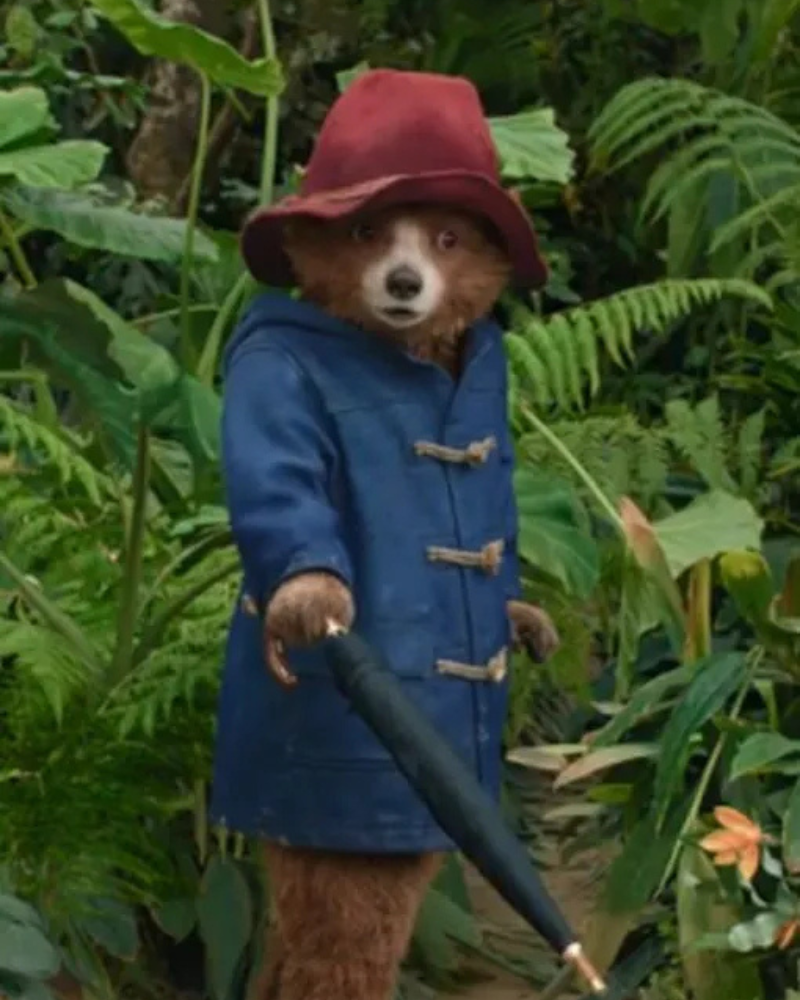 PaddingtonInPeru2024BlueHoodedJacket
