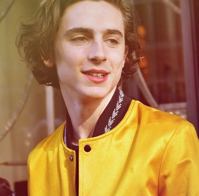 Timothée Chalamet The One Time He Wore That Yellow Jacket
